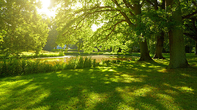 Parkähnliche Umgebung
